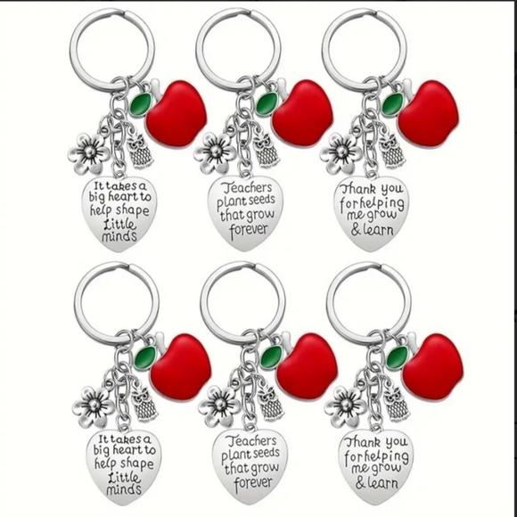 Teacher or Aid, Student gift, purse charm Key Chain Apple 1 Each - Picture 4 of 4